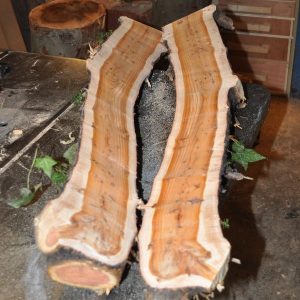 yew log after sawing