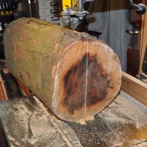 log ready to saw