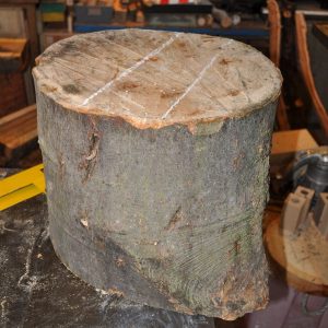 sycamore log marked for sawing